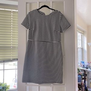 Striped structured shirt dress